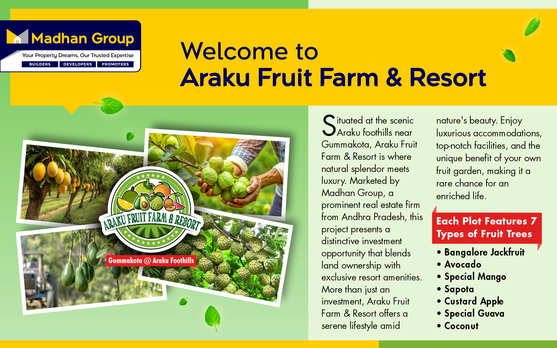 Araku Projects Banner 2