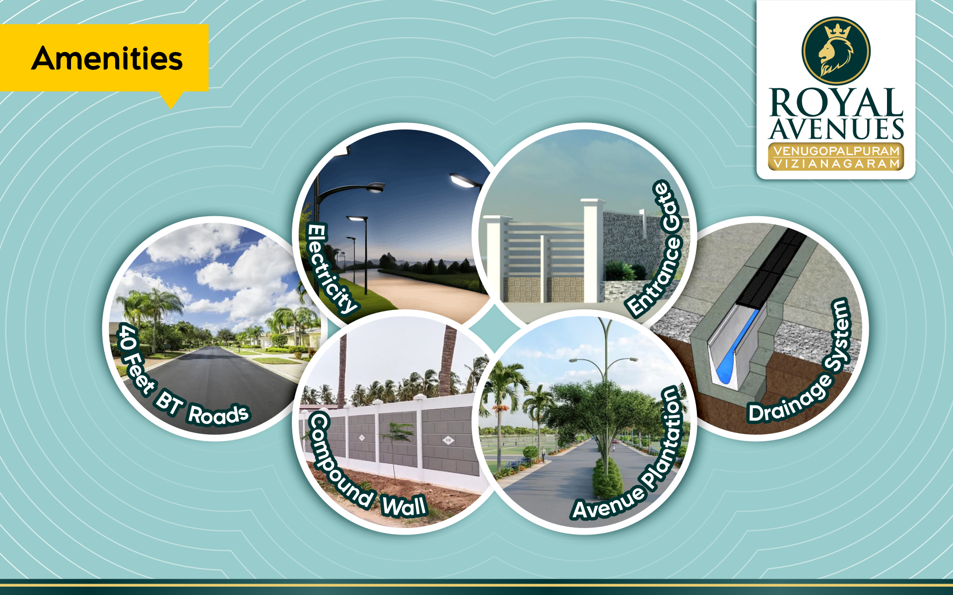 Royal Avenue Website Banners 1920x1200 Pxl - 2